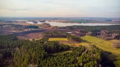 Mazurski las w okolicach Kruklina, luty 2020