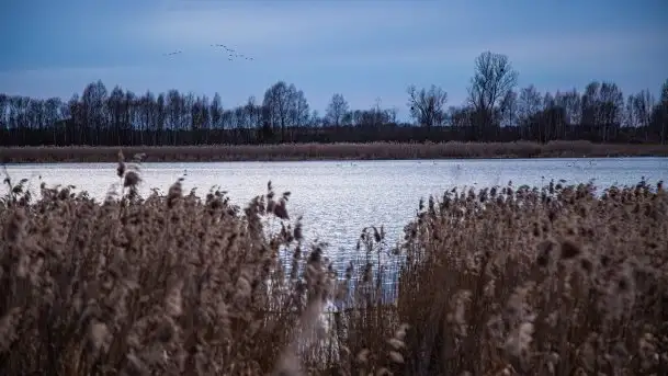 Orzysz i okolice w lutowych kadrach 2020 - zdjęcie 7