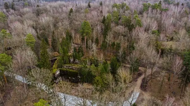 Wilczy Szaniec w Gierłoży zimą jeszcze lepiej widoczny - zdjęcie 3