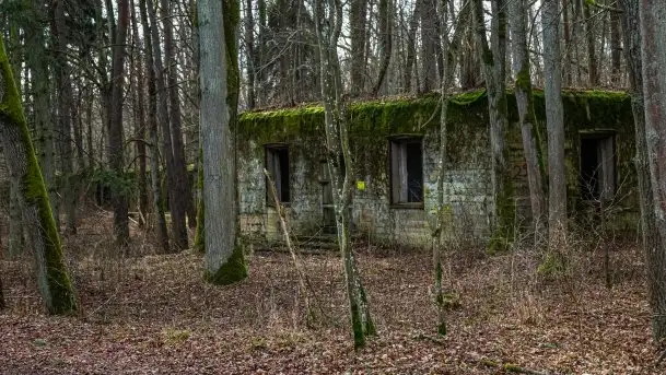 Wilczy Szaniec w Gierłoży zimą jeszcze lepiej widoczny - zdjęcie 11