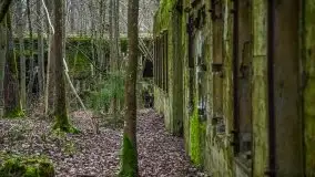 Wilczy Szaniec w Gierłoży zimą jeszcze lepiej widoczny - zdjęcie 18