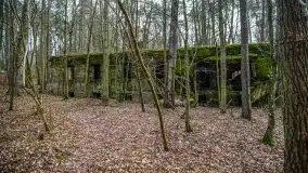 Wilczy Szaniec w Gierłoży zimą jeszcze lepiej widoczny - zdjęcie 26