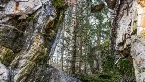 Wilczy Szaniec w Gierłoży zimą jeszcze lepiej widoczny - zdjęcie 38