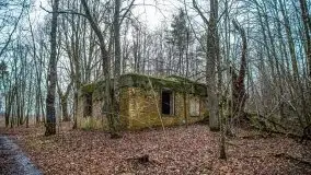 Wilczy Szaniec w Gierłoży zimą jeszcze lepiej widoczny - zdjęcie 41