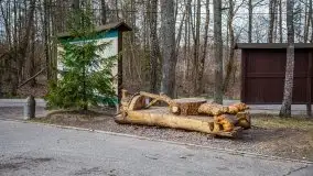 Wilczy Szaniec w Gierłoży zimą jeszcze lepiej widoczny - zdjęcie 44