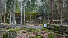 Wilczy Szaniec w Gierłoży zimą jeszcze lepiej widoczny - zdjęcie 52