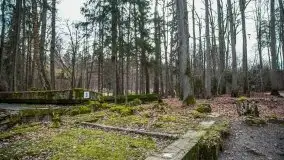 Wilczy Szaniec w Gierłoży zimą jeszcze lepiej widoczny - zdjęcie 56