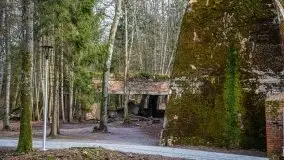 Wilczy Szaniec w Gierłoży zimą jeszcze lepiej widoczny - zdjęcie 67