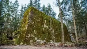 Wilczy Szaniec w Gierłoży zimą jeszcze lepiej widoczny - zdjęcie 72