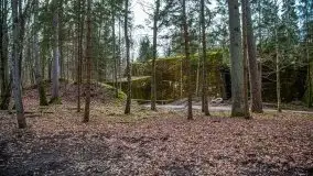 Wilczy Szaniec w Gierłoży zimą jeszcze lepiej widoczny - zdjęcie 88