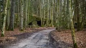 Wilczy Szaniec w Gierłoży zimą jeszcze lepiej widoczny - zdjęcie 89