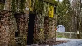 Wilczy Szaniec w Gierłoży zimą jeszcze lepiej widoczny - zdjęcie 91