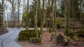 Wilczy Szaniec w Gierłoży zimą jeszcze lepiej widoczny - zdjęcie 96