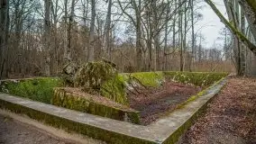 Wilczy Szaniec w Gierłoży zimą jeszcze lepiej widoczny - zdjęcie 104