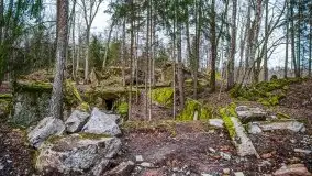 Wilczy Szaniec w Gierłoży zimą jeszcze lepiej widoczny - zdjęcie 117