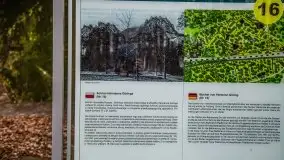 Wilczy Szaniec w Gierłoży zimą jeszcze lepiej widoczny - zdjęcie 120