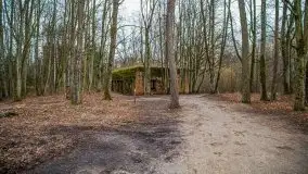 Wilczy Szaniec w Gierłoży zimą jeszcze lepiej widoczny - zdjęcie 128