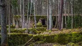 Wilczy Szaniec w Gierłoży zimą jeszcze lepiej widoczny - zdjęcie 134