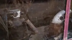 Wilczy Szaniec w Gierłoży zimą jeszcze lepiej widoczny - zdjęcie 139