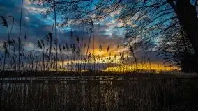 Zachód słońca widoczny w Sztynorcie, 27 luty 2020 - zdjęcie 18