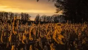 Zachód słońca widoczny w Sztynorcie, 27 luty 2020 - zdjęcie 16