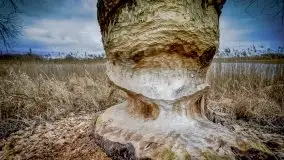 Wiosna w lutym na zdjęciach Stanisława Sielewicza - zdjęcie 14