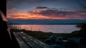 Wiosna w lutym na zdjęciach Stanisława Sielewicza - zdjęcie 18