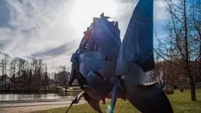 Mrągowo w marcowym słońcu 2020 - zdjęcie 50