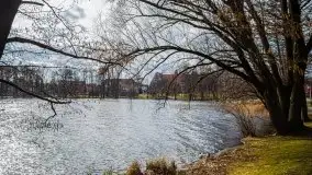 Mrągowo w marcowym słońcu 2020 - zdjęcie 67