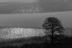 Zdjęcia: Mazurskie pejzaże na zdjęciach Janka Olchówki - zdjęcie 19