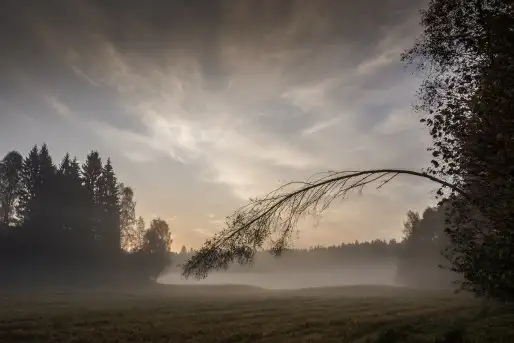Zdjęcia: Mazurskie pejzaże na zdjęciach Janka Olchówki - zdjęcie 6