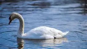 Ruciane Nida w marcowe popołudnie - zdjęcie 54