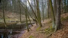 Ruciane Nida w marcowe popołudnie - zdjęcie 17