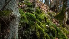 Ruciane Nida w marcowe popołudnie - zdjęcie 8