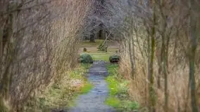 Marcowe kolory Nowych Gutów i jeziora Śniardwy - zdjęcie 37