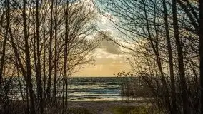 Marcowe kolory Nowych Gutów i jeziora Śniardwy - zdjęcie 23