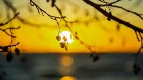 Marcowe kolory Nowych Gutów i jeziora Śniardwy - zdjęcie 4