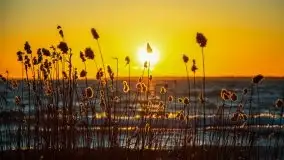 Marcowe kolory Nowych Gutów i jeziora Śniardwy - zdjęcie 3