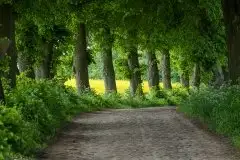 Zdjęcia: Mazurskie pejzaże na zdjęciach Janka Olchówki cz. II - zdjęcie 43