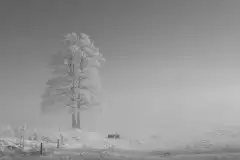 Zdjęcia: Mazurskie pejzaże na zdjęciach Janka Olchówki cz. II - zdjęcie 35