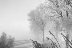 Zdjęcia: Mazurskie pejzaże na zdjęciach Janka Olchówki cz. II - zdjęcie 32