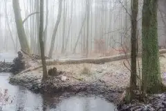 Zdjęcia: Mazurskie pejzaże na zdjęciach Janka Olchówki cz. II - zdjęcie 18