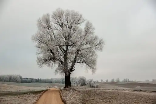 Zdjęcia: Mazurskie pejzaże na zdjęciach Janka Olchówki cz. II - zdjęcie 9