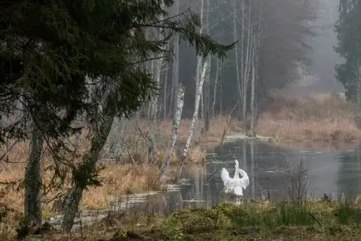 Zdjęcia: Mazurskie pejzaże na zdjęciach Janka Olchówki cz. II - zdjęcie 5