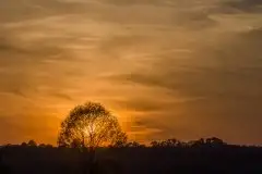 Zdjęcia: Mazurskie pejzaże na zdjęciach Janka Olchówki cz. II - zdjęcie 4