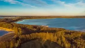 Okolice mostu Sztynorckiego, marzec 2020 - zdjęcie 12