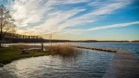 Okolice mostu Sztynorckiego, marzec 2020 - zdjęcie 22