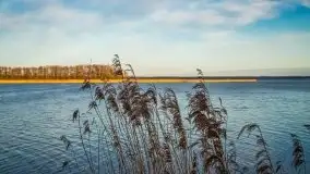 Okolice mostu Sztynorckiego, marzec 2020 - zdjęcie 8