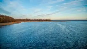 Okolice mostu Sztynorckiego, marzec 2020 - zdjęcie 18