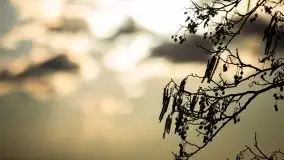 Złote Ogonki i jezioro Święcajty pierwszego dnia wiosny 2020 - zdjęcie 55